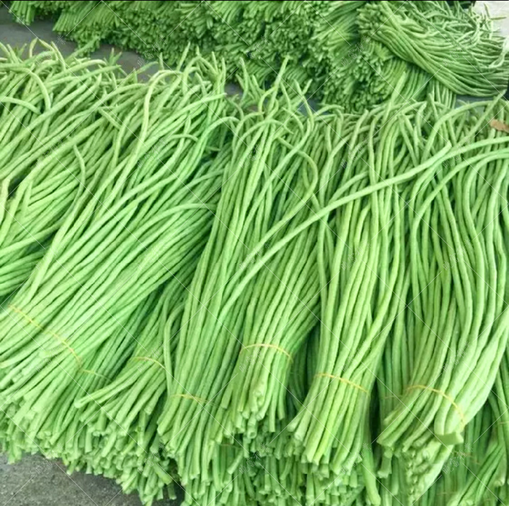 1557968844904055.jpg 54.jpg