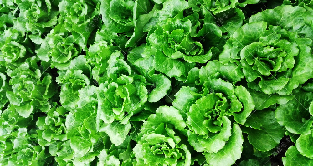 1558575778488952.jpg 51.jpg