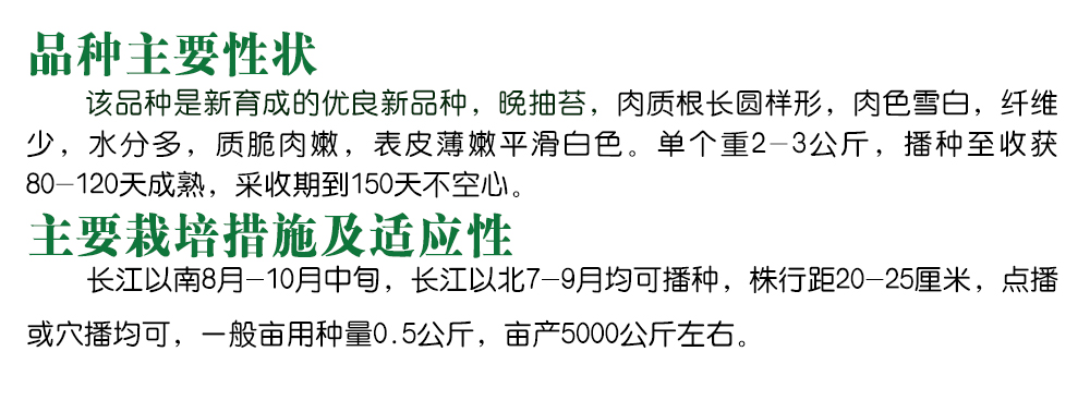 1585788888752403.jpg 10.jpg