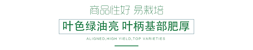 1600250924447985.jpg 03.jpg